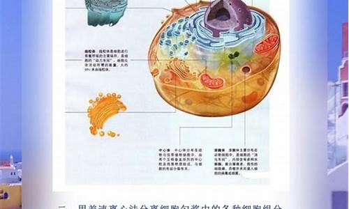 高考生物细胞结构_高考生物细胞结构专题