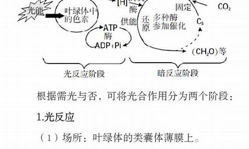 高考生物光合作用大题_高三生物光合作用大题