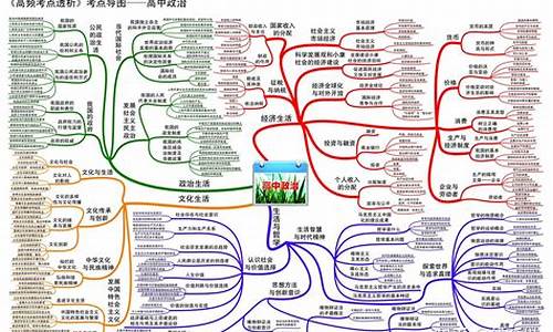 高三政治高考_高三政治高考真题和答案