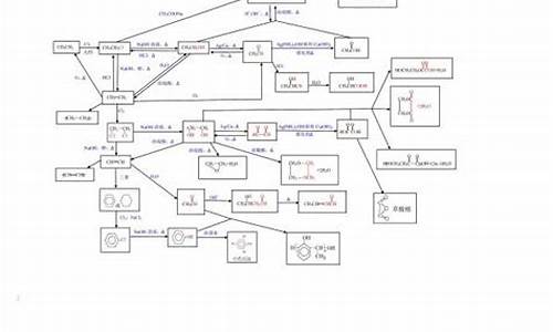高考有机流程_高考有机反应条件