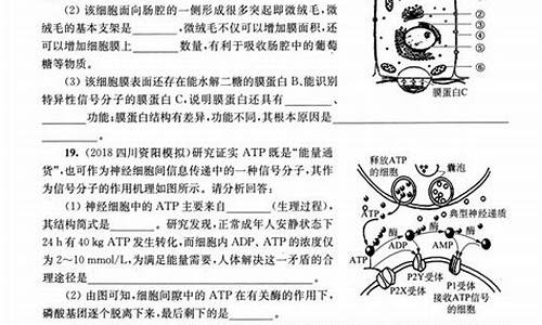 高考生物压轴_高考生物压轴题一般是什么